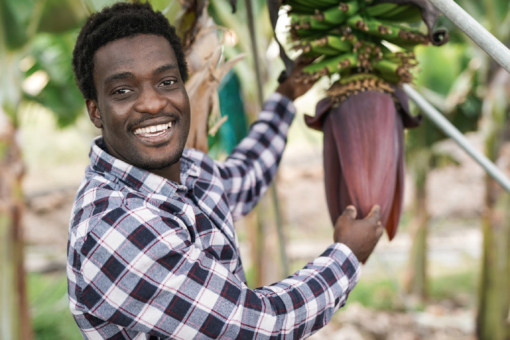 Man happily showing plant