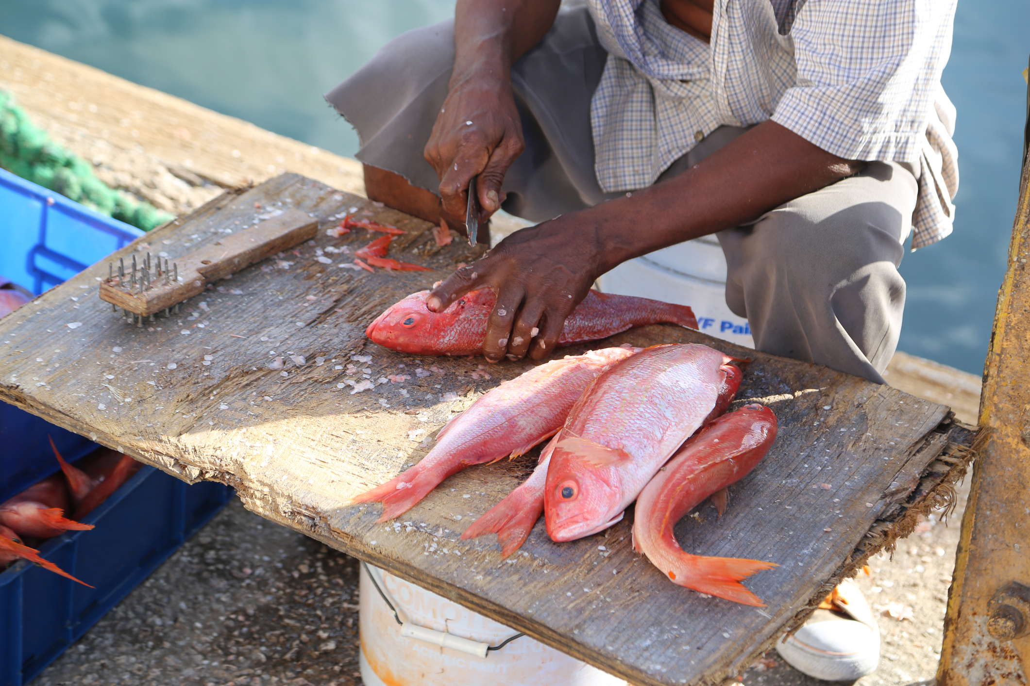 Man cleaning fishes